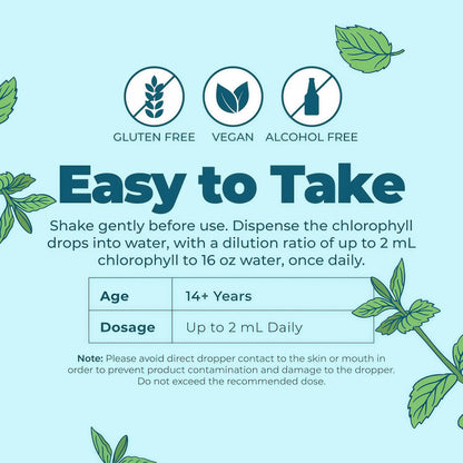 MaryRuth's Chlorophyll Liquid Drops, Delicious Minty Flavor, Vegan, 2 Fl Oz Clean Label Project Certified®, Vegan, Non-Diluted Liquid Chlorophyll, Mulberry Derived Supplement for Ages 14+, Non-GMO