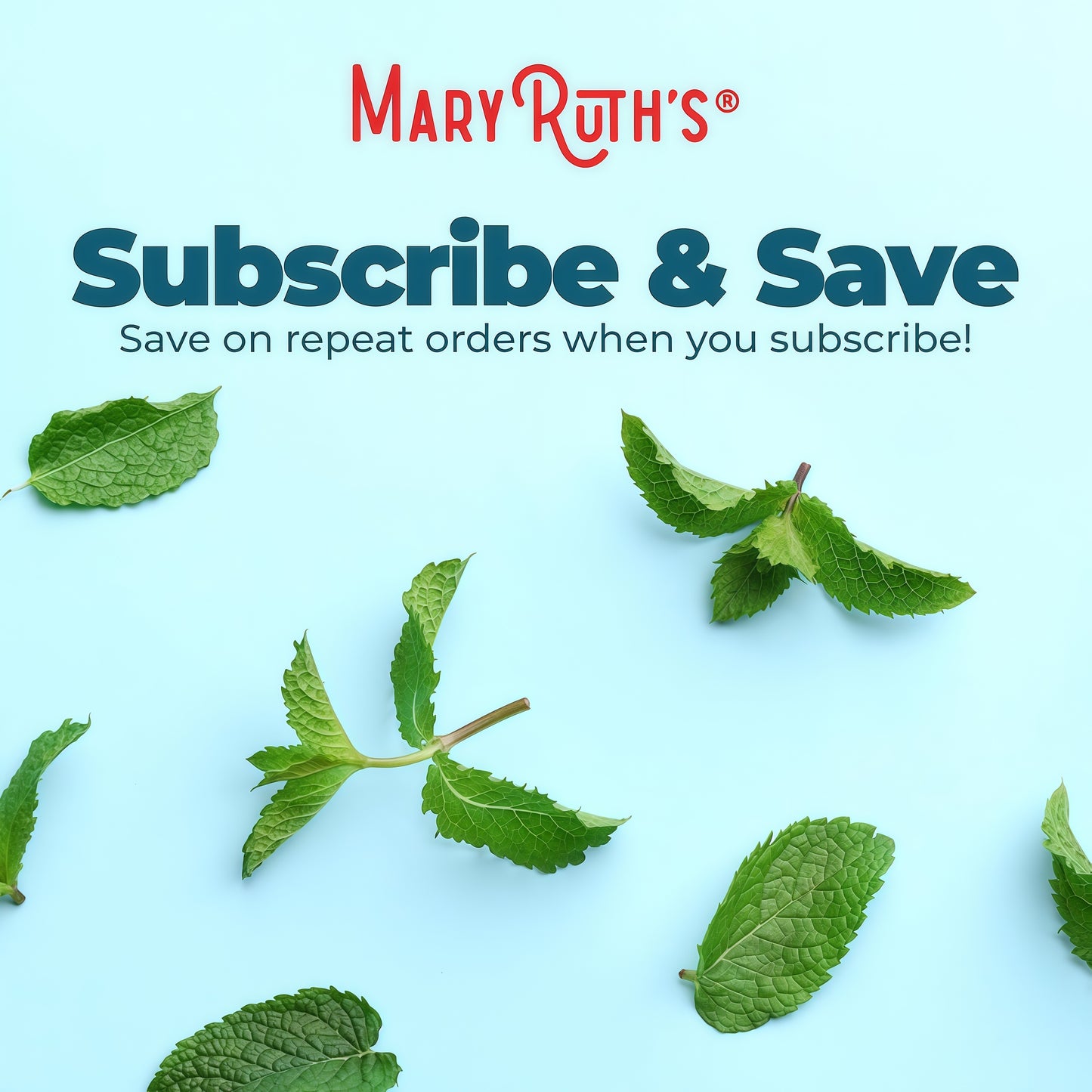 MaryRuth's Chlorophyll Liquid Drops, Delicious Minty Flavor, Vegan, 2 Fl Oz Clean Label Project Certified®, Vegan, Non-Diluted Liquid Chlorophyll, Mulberry Derived Supplement for Ages 14+, Non-GMO